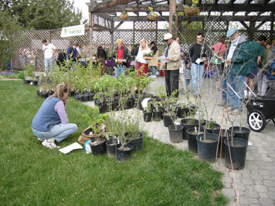 native plant sale