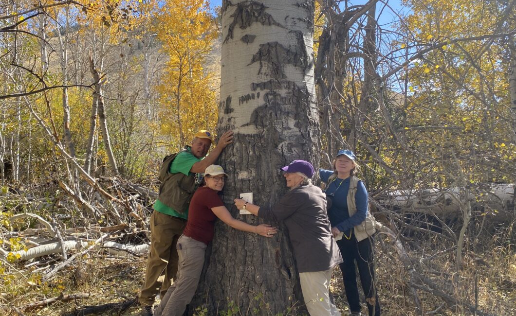 hugging a tree