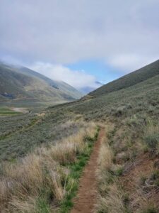 trail on hillside